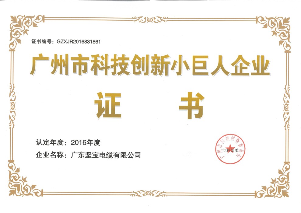 廣州市科技創新小巨人企業證書